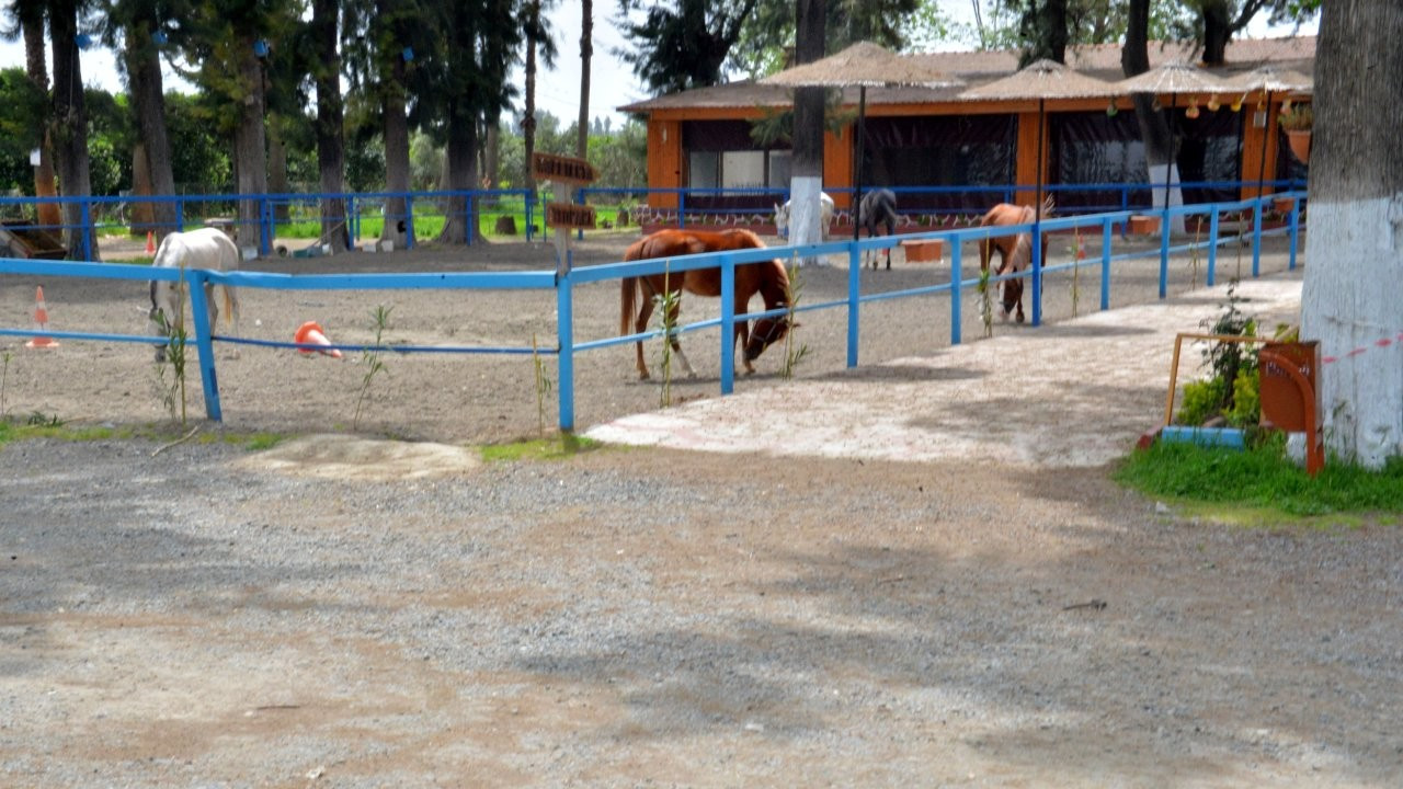 Atların kaybolduğunu ortaya çıkaran müdüre ihraç talebi reddedildi