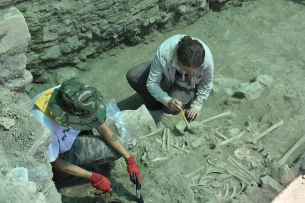 Ayasuluk kazılarında bulunan yeni iskeletler ilk kez görüntülendi - Sayfa 3