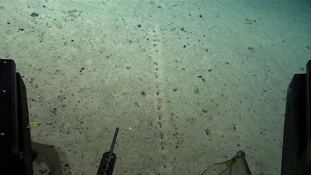 Okyanus tabanında delikler keşfedildi: 'İnsan yapımı gibi görünüyor'