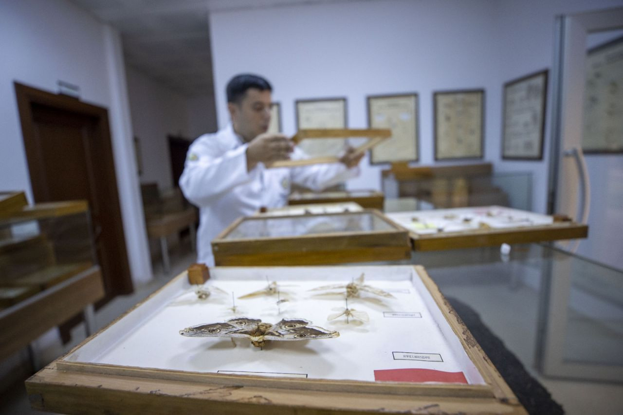 Antalya'da 'böcek müzesi' açıldı: 530 tür sergileniyor - Sayfa 2