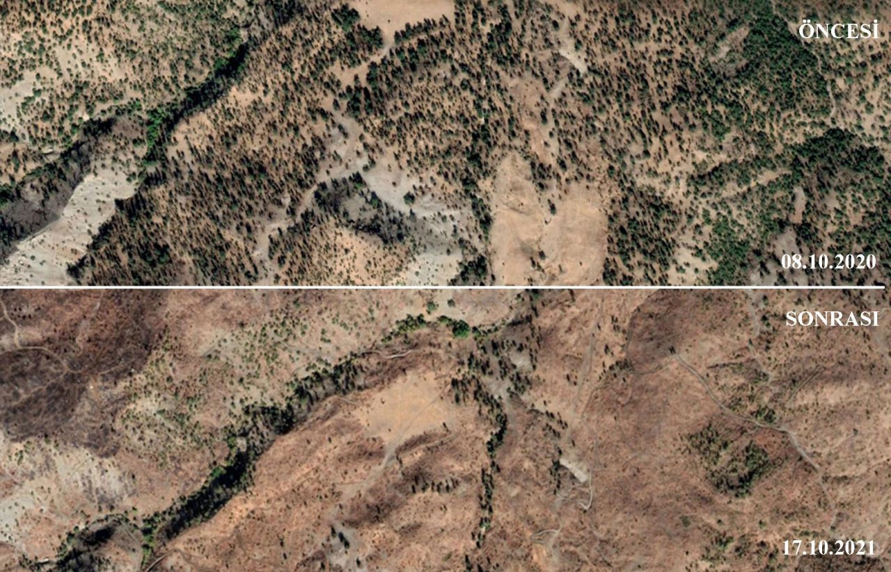 Şırnak'ta orman kıyımı 'uydu'ya yansıdı: Yasalar devreye girmiyor - Sayfa 3