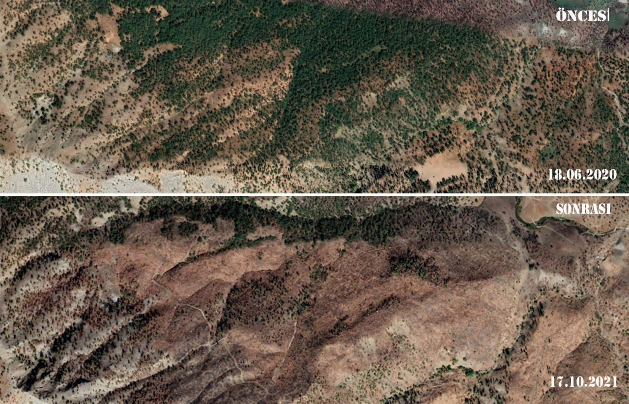 Şırnak'ta orman kıyımı 'uydu'ya yansıdı: Yasalar devreye girmiyor - Sayfa 4