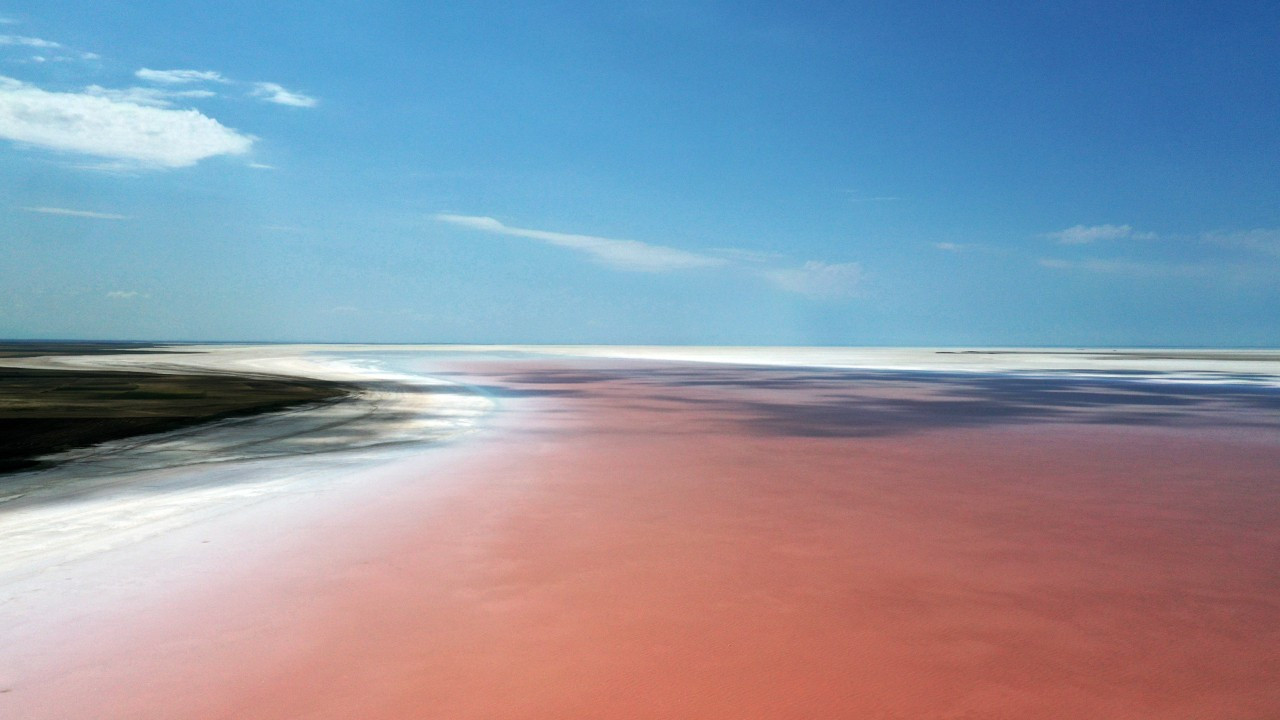 Tuz Gölü pembeye boyandı: Flamingolar, renklerini buradan alıyor