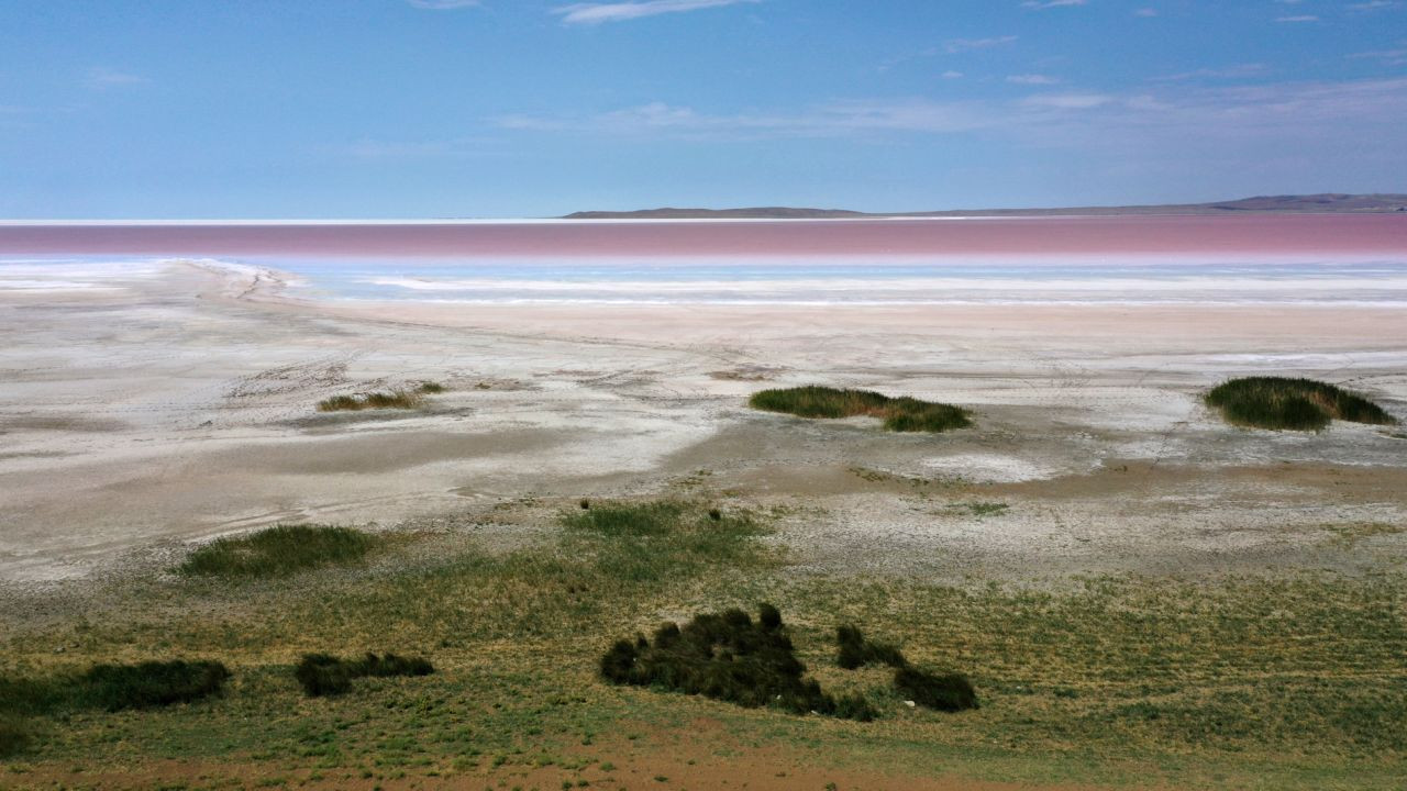 Tuz Gölü pembeye boyandı: Flamingolar, renklerini buradan alıyor - Sayfa 3
