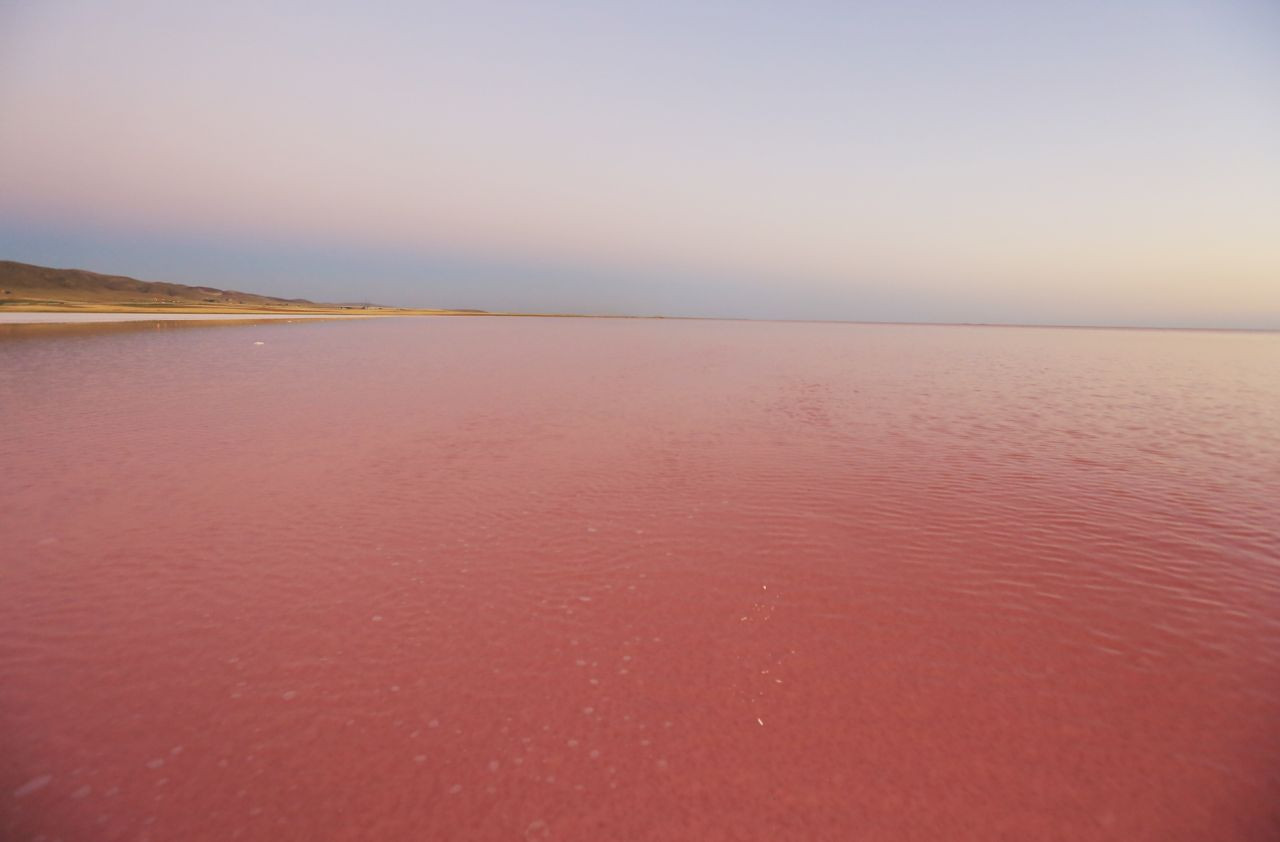 Tuz Gölü pembeye boyandı: Flamingolar, renklerini buradan alıyor - Sayfa 2