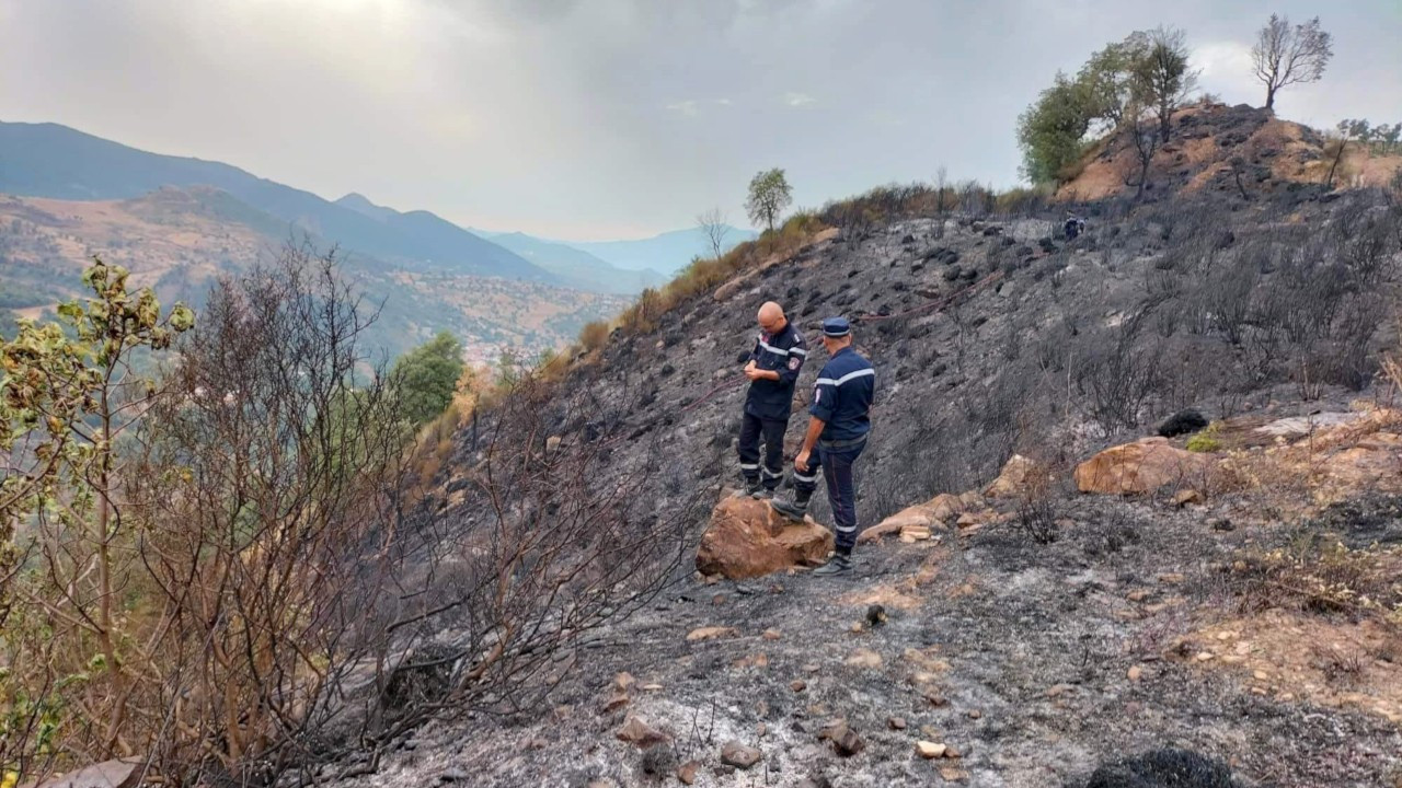 Cezayir'de orman yangını: 26 kişi öldü