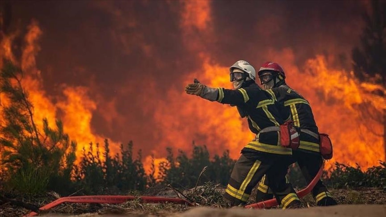 Orman yangınlarında belediyelerle yeterli iş birliği yapılmamış