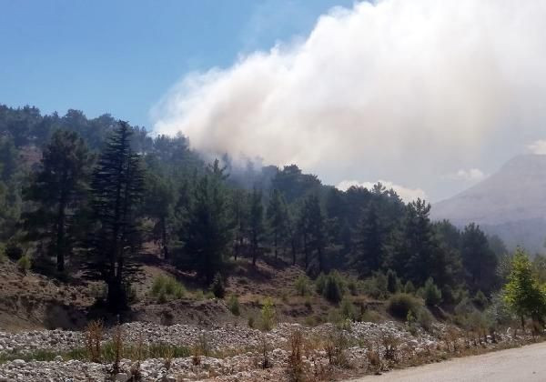 Antalya Kaş'ta orman yangını çıktı - Sayfa 1