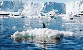 Bilim dünyasından buzul raporu: Artık çok geç - Sayfa 4