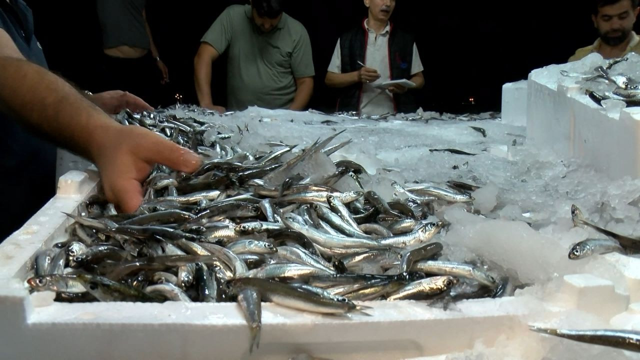 Balık sezonu açıldı: Fiyatlar geçen senenin 3 katı - Sayfa 1