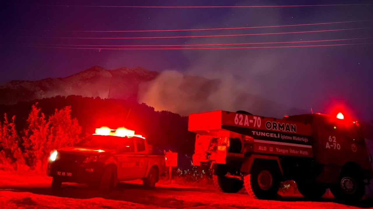 Ovacık'taki orman yangını söndürüldü