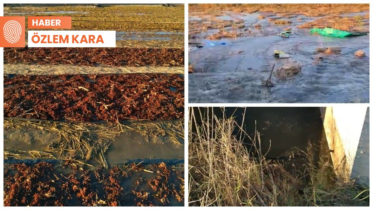 Gördes Barajı su hattında patlama: Tonlarca üzüm zarar gördü