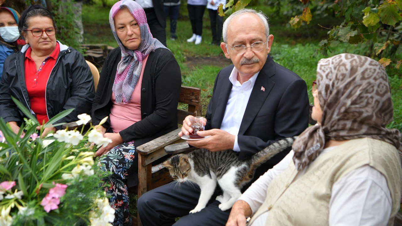 CHP lideri Kılıçdaroğlu Giresun’da kedi sevdi: Gel buraya…