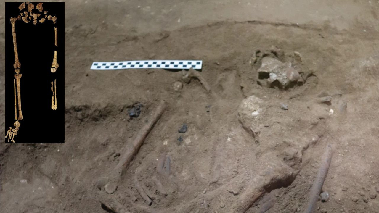 Dünyanın bilinen en eski amputesi bulundu: 31 bin yaşında - Sayfa 3
