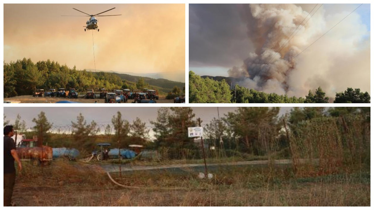 Denizli'de 19 saatlik orman yangınında 100 hektar alan zarar gördü