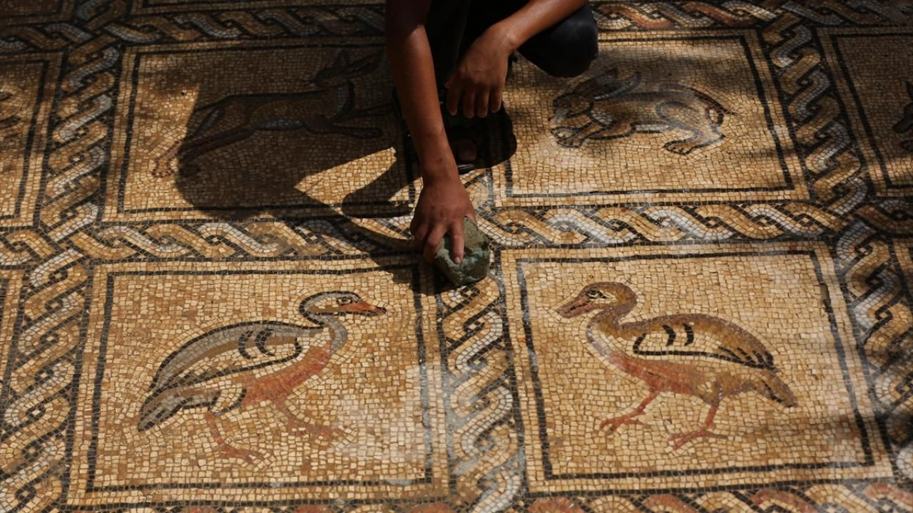Filistinli çiftçi, tarlasında Bizans dönemine ait mozaikler buldu - Sayfa 5