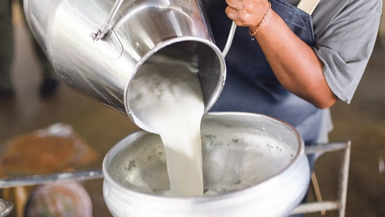TÜİK: Ağustosta süt miktarı azaldı, yumurta üretimi arttı