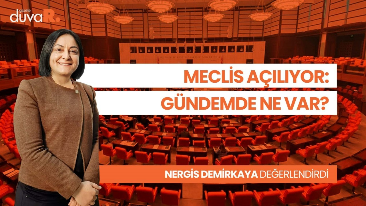 Nergis Demirkaya Meclis özel oturumunu değerlendirdi