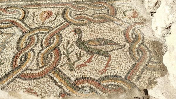 Hadrianopolis kazılarında yeni mozaikler bulundu - Sayfa 1
