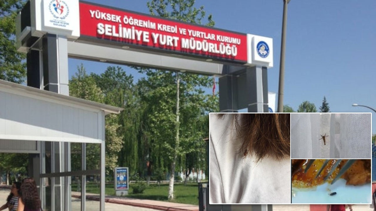 İddia: Edirne'deki KYK yurdunu böcekler bastı, bir öğrenciyi yılan ısırdı