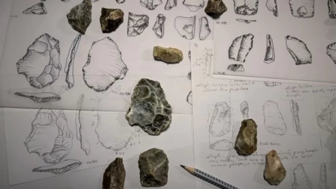 Polonya'da 500 bin yıllık çakmaktaşı aletler bulundu