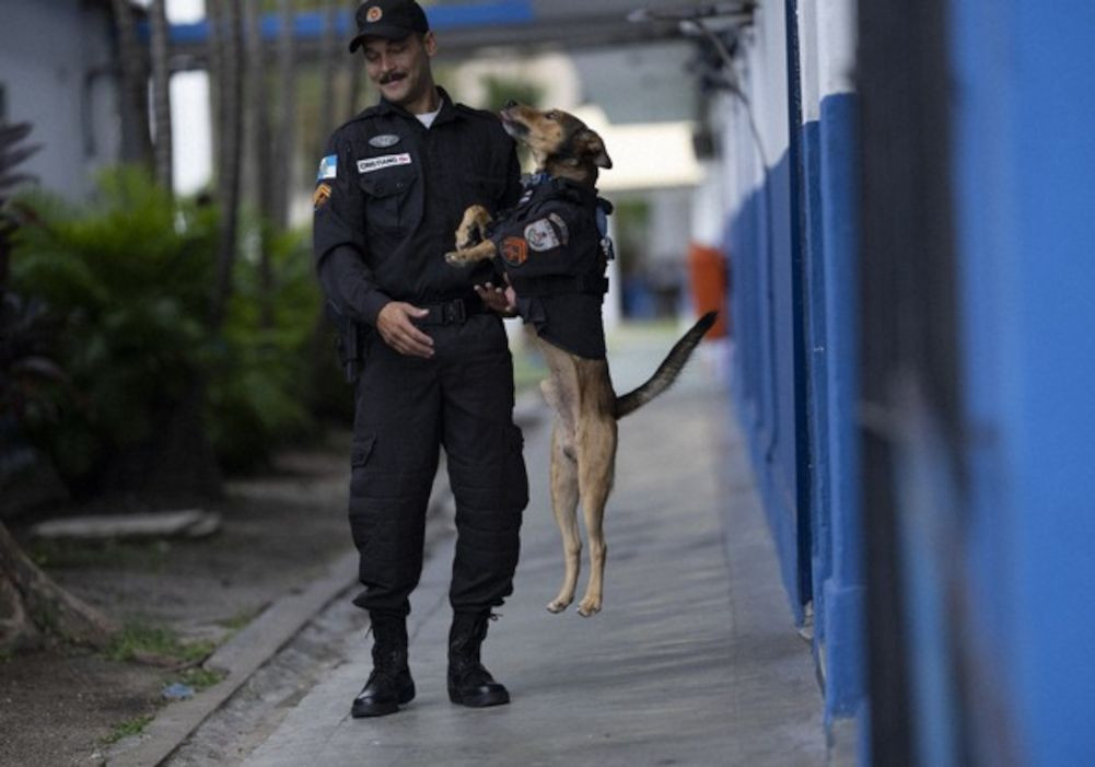Brezilya polisinin sahiplendiği köpek, sosyal medya yıldızı oldu - Sayfa 3