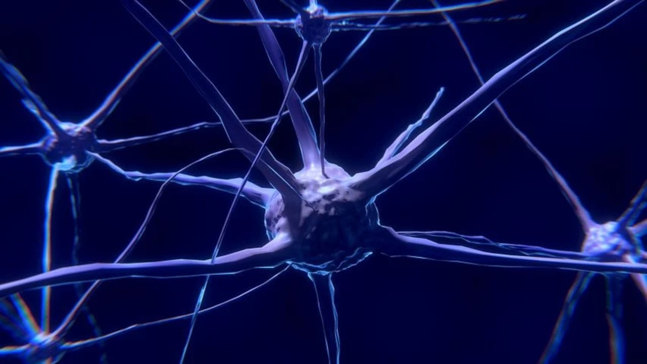 Beynimizde zaman akışını kodlayan hücreler keşfedildi