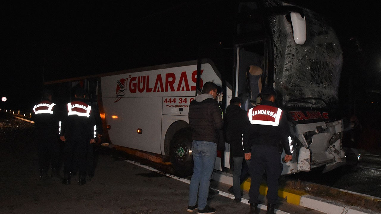 Yola çıkan at zincirleme kazaya neden oldu: 15 yaralı