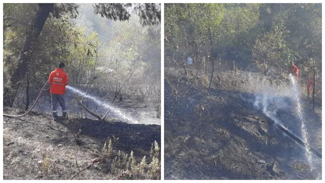 Osmaniye'de orman yangını: 50 dekar alan zarar gördü