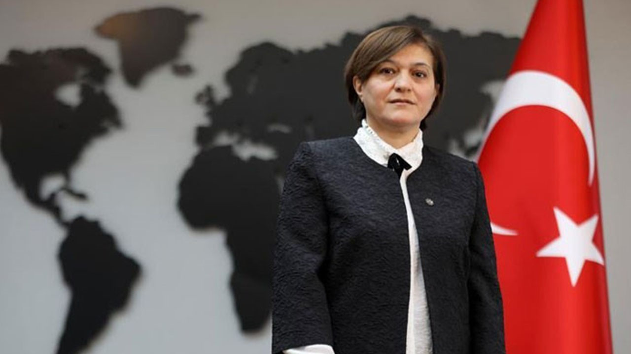 'Erdoğan'ın atadığı büyükelçi geri döndü' iddiasına açıklama geldi