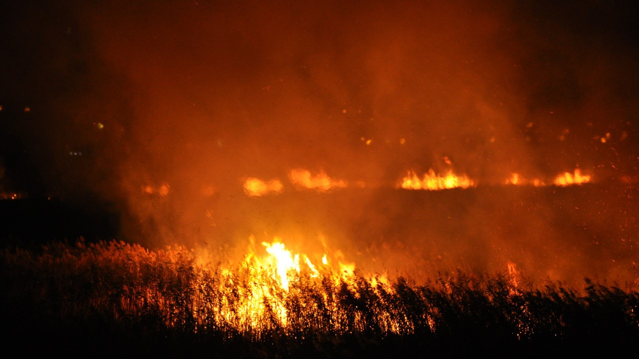 Koruma altındaki Göksu Deltası'nda yangın