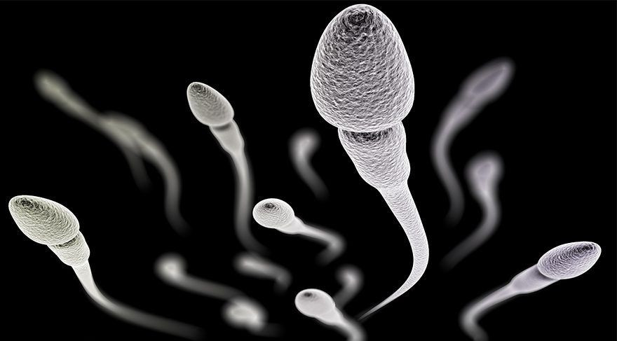 53 ülkede araştırma: Erkeklerde sperm sayısı yarı yarıya düştü - Sayfa 4