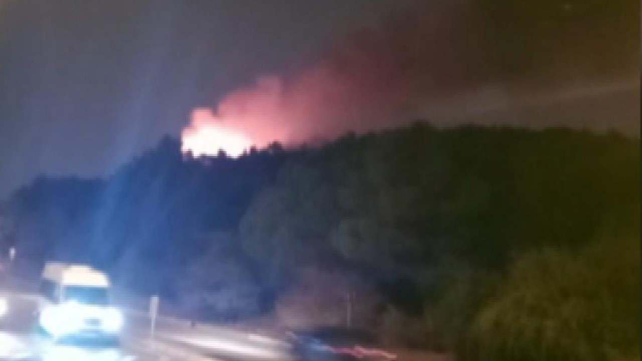 Aydos Ormanı'nda gece yarısı yangın