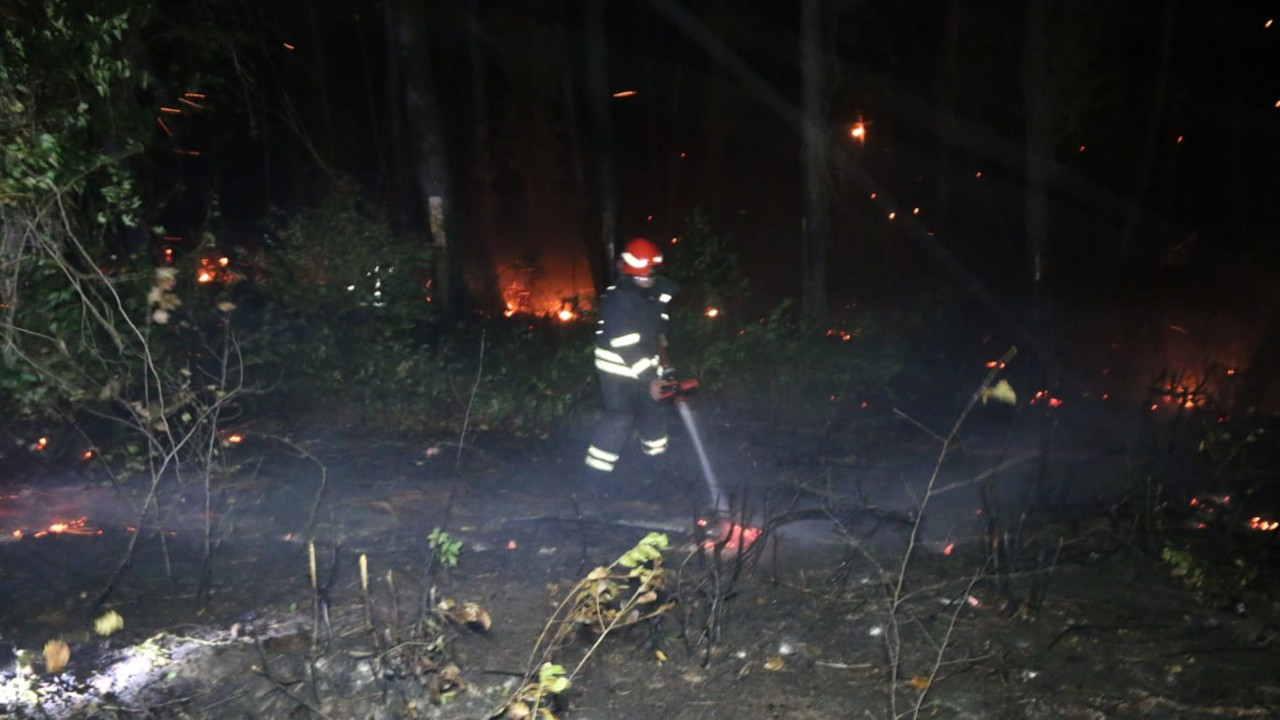 Kefken'de 15 dönüm orman yandı