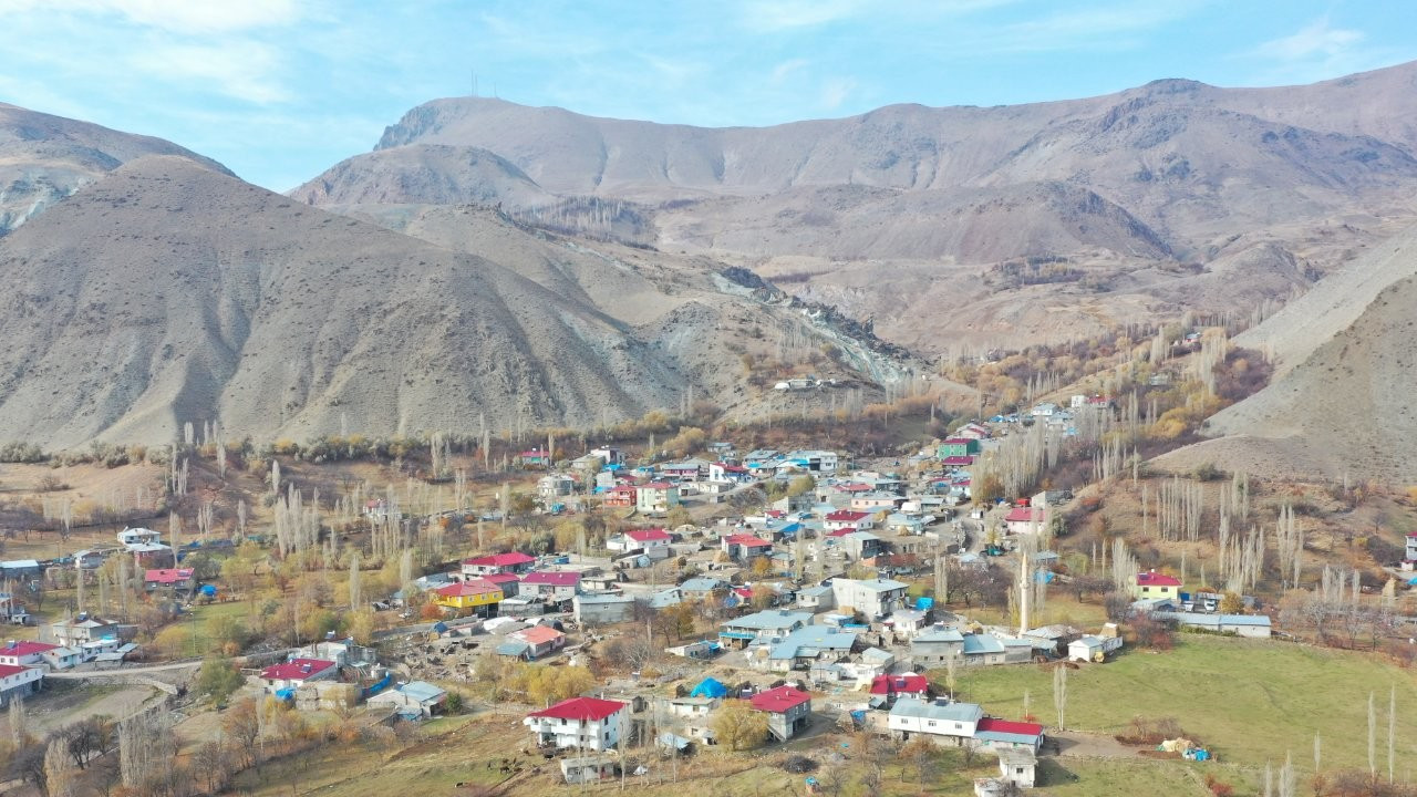 Kars'ta bir köyde kuduz karantinası