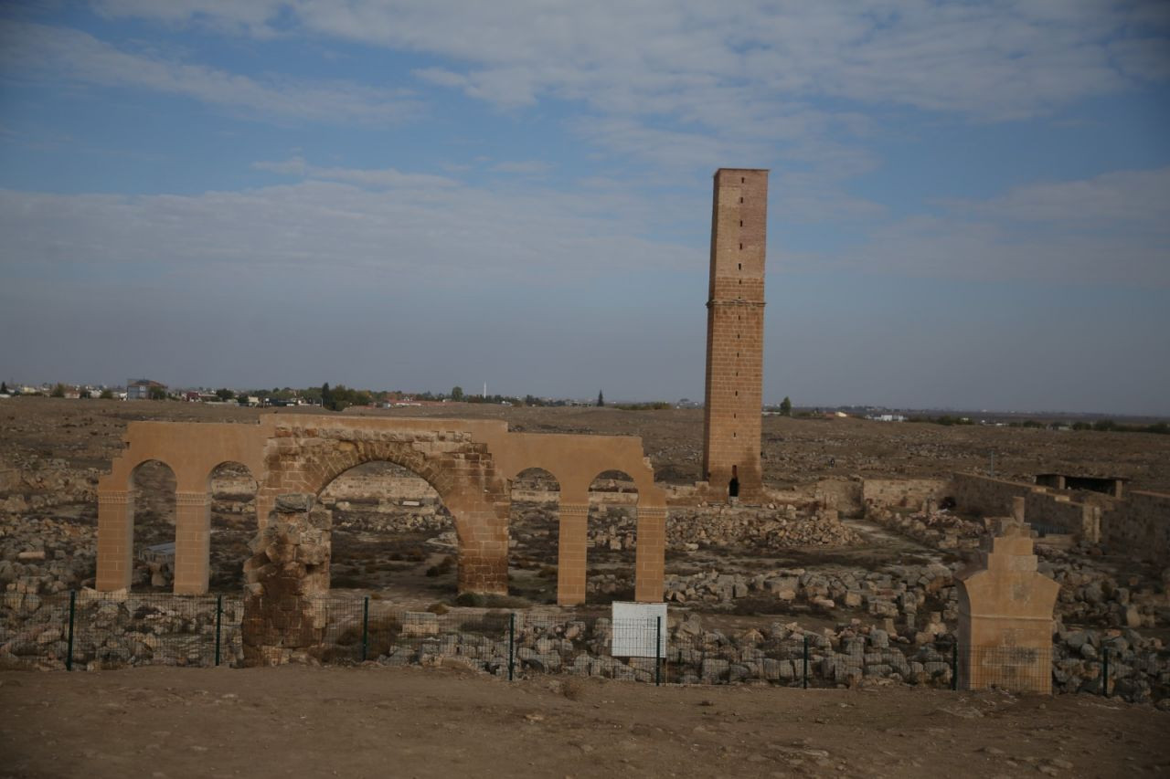 Sekiz asırlık Harran Medresesi'nin yapıları gün yüzüne çıkarıldı - Sayfa 1