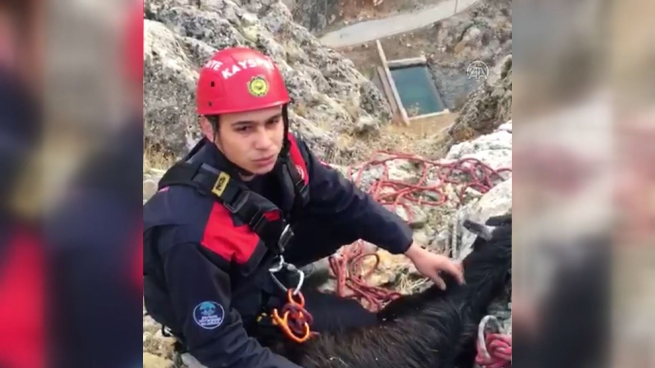 250 metrelik uçurumda mahsur kalan keçi kurtuldu