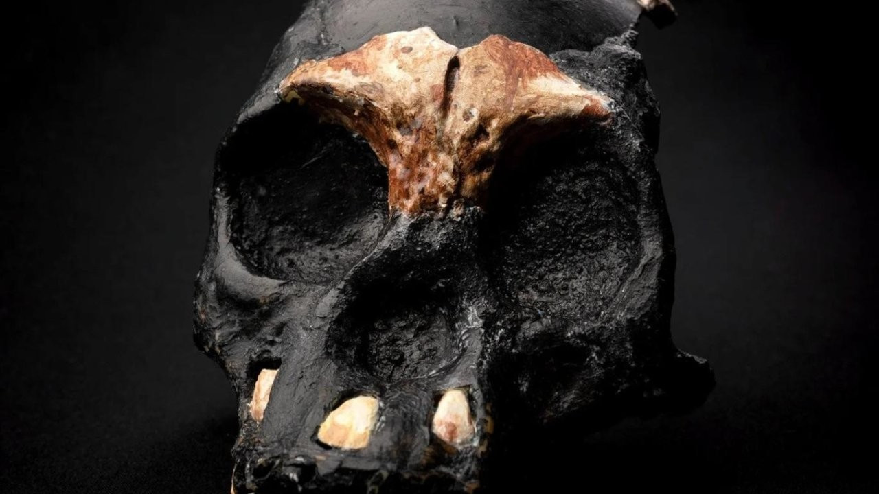 Homo naledi 236 bin yıl önce ateş yakmış olabilir