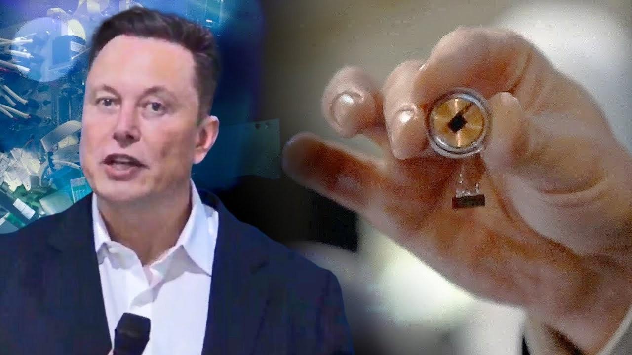Elon Musk'ın şirketine soruşturma: Bin 500 hayvanın ölümüne neden oldu