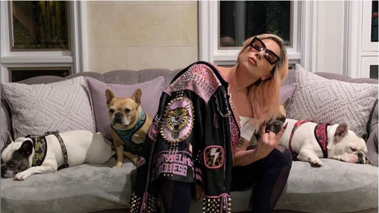 Lady Gaga'nın köpeklerini çalmıştı: 21 yıl hapis cezası