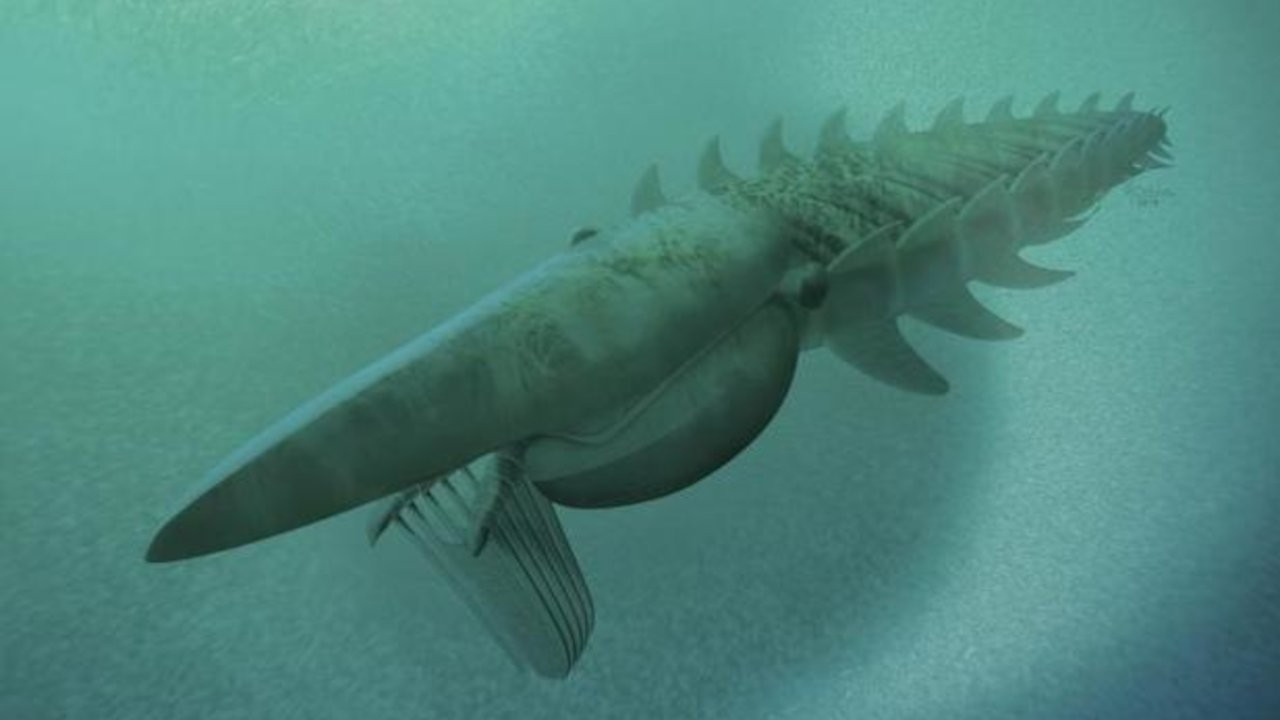 Araştırma: 470 milyon yıl önce denizlere dev eklembacaklılar hükmediyordu