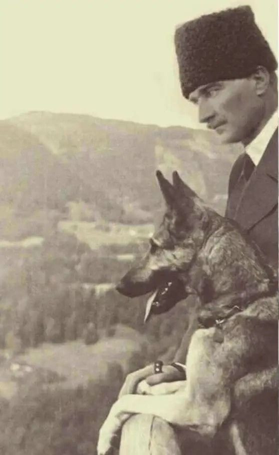 Bahçeli'ye montajlı Atatürk fotoğrafı: Aslında Hitler'in kurdu - Sayfa 2