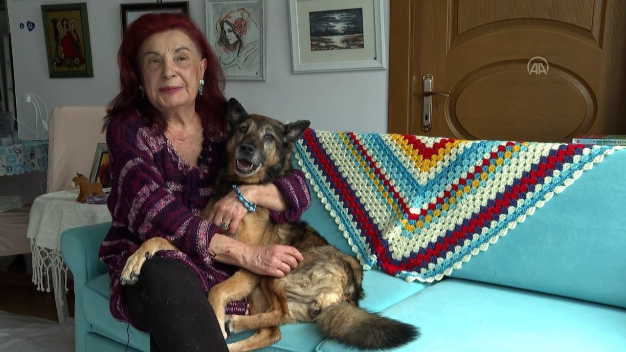 'Zeynep' Guinness'e başvurdu: Hayattaki en yaşlı köpek