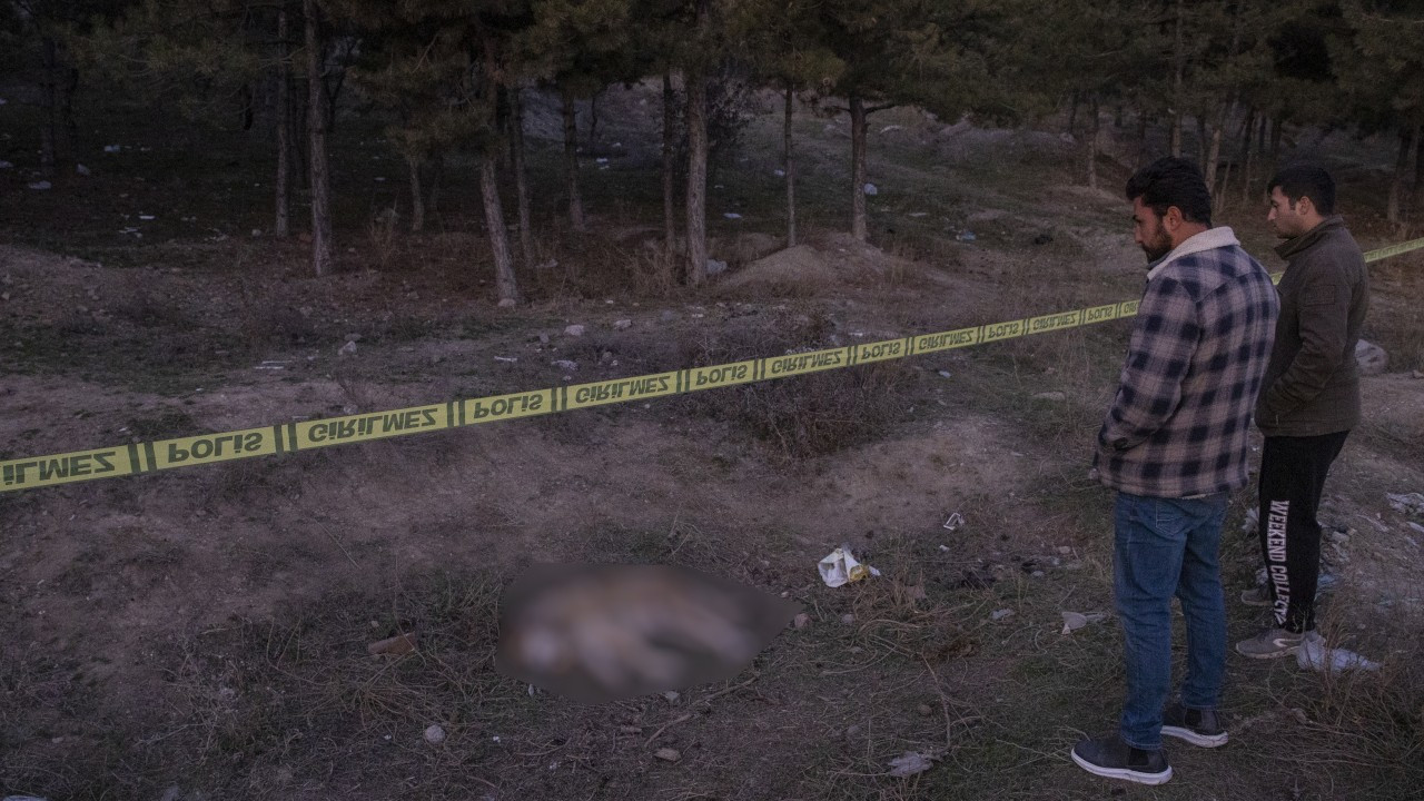 Ankara'da 4 köpek tüfekle vurularak öldürülmüş halde bulundu