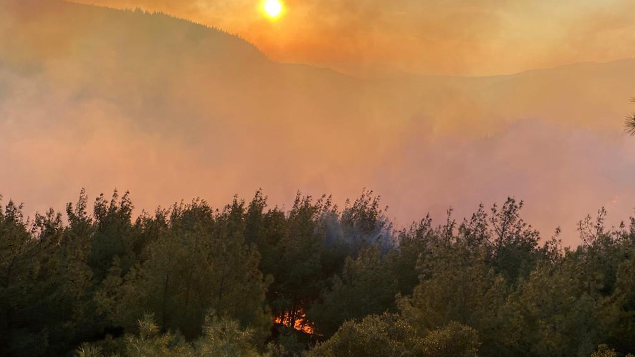 Osmaniye'de orman yangını 