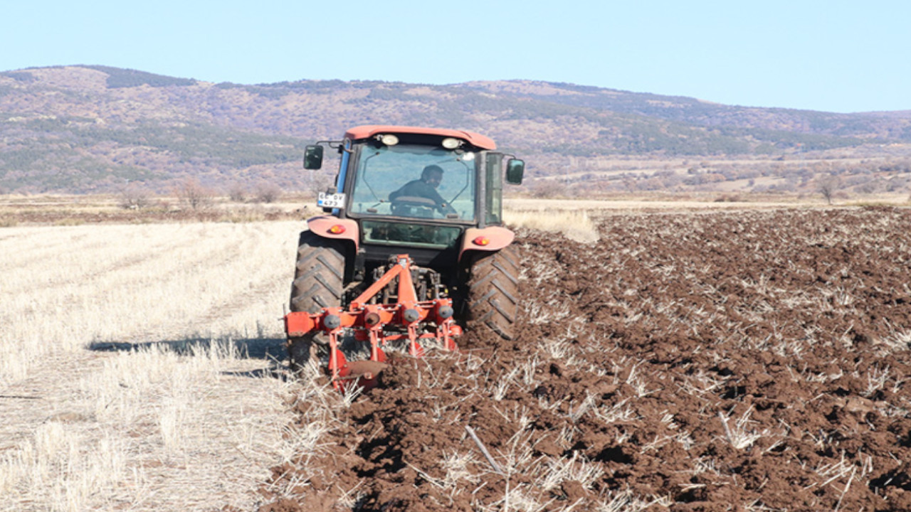 Kuraklık ekinleri vurdu: Geç çimlenme rekolteyi etkileyecek