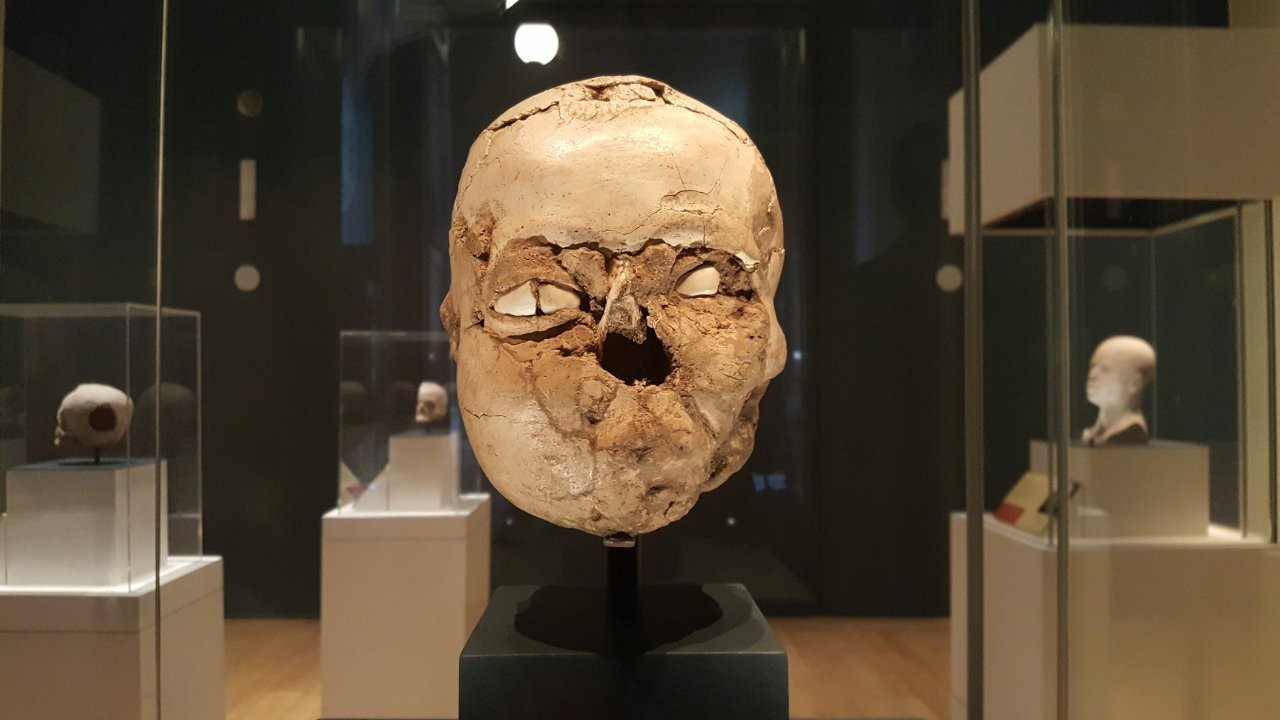9 bin yıllık 'deniz kabuklu kafatası'nın yüzü yeniden canlandırıldı