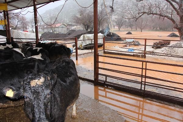 Burdur'da şiddetli yağış: Evler ve tarım arazileri su altında kaldı - Sayfa 3