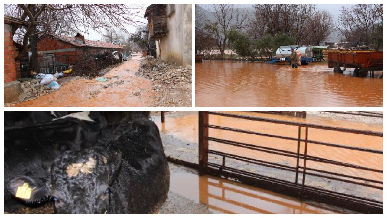 Burdur'da şiddetli yağış: Evler ve tarım arazileri su altında kaldı