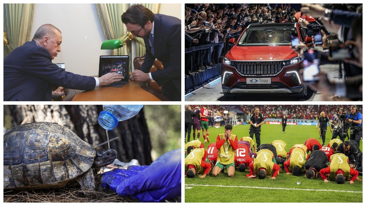Cumhurbaşkanı Erdoğan, 'Yılın Fotoğrafları'nı seçti